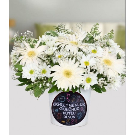 öğretmenler günü  gerbera ve papatya aranjmanı